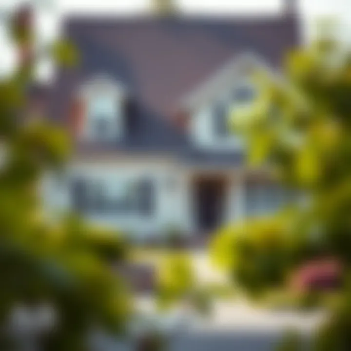 Magnificent Navigating Home Loans with No Credit