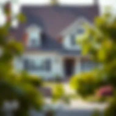Magnificent Navigating Home Loans with No Credit Magnificent Navigating Home Loans with No Credit