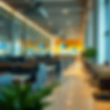 Different types of airport lounges