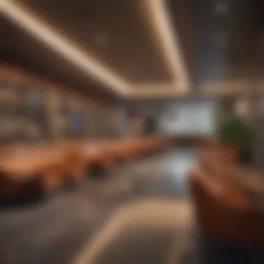 Various types of airport lounges