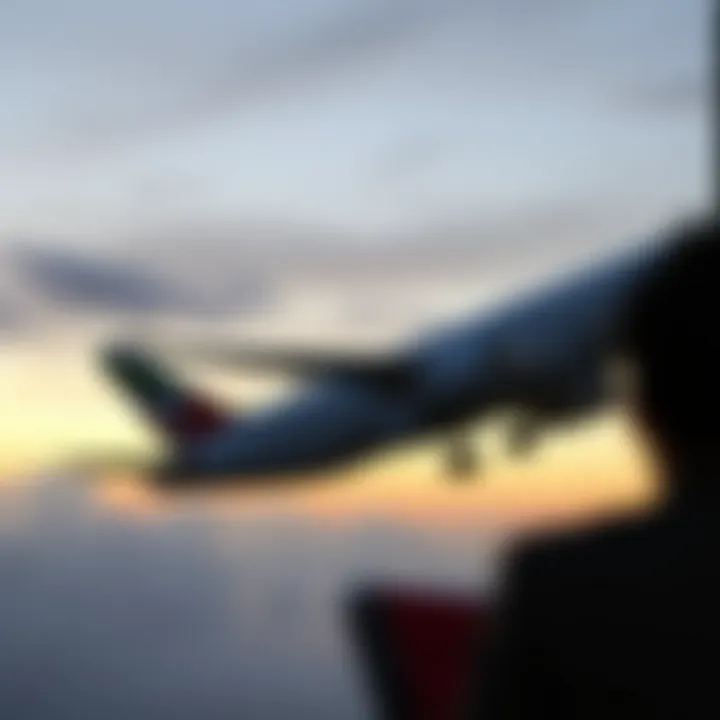 Finding the Optimal Sources for International Airline Tickets Summary
