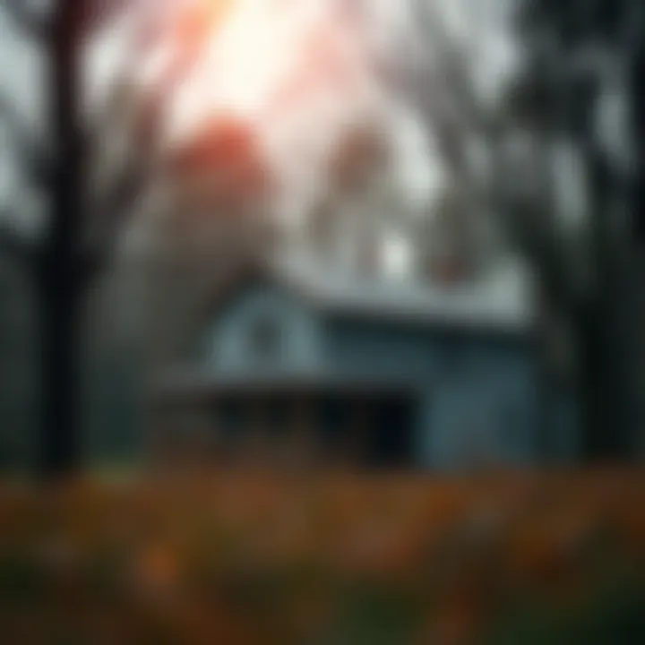Notable Transfer of Property After Death Without a Will