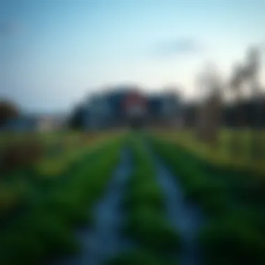 A pathway leading to a future home on a rented property