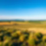 Scenic view of expansive acreage under blue skies
