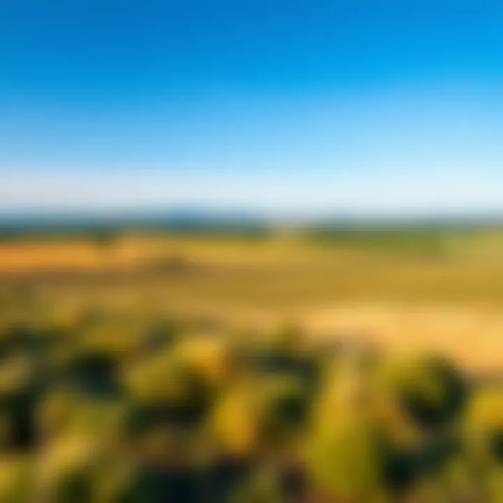 Scenic view of expansive acreage under blue skies